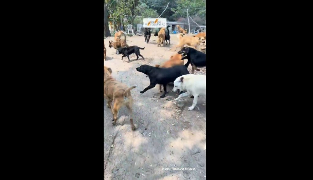 Refugio Franciscano. Foto. X.  Captura de pantalla