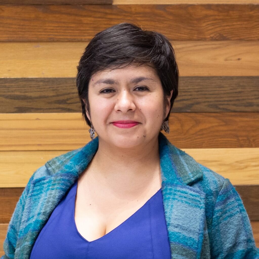 lucero ibarra rojas cide