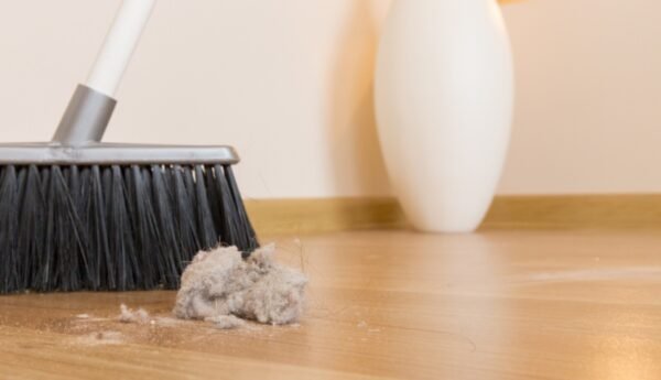 El polvo en hogares mexicanos es más tóxico que en Europa. Foto: Especial.