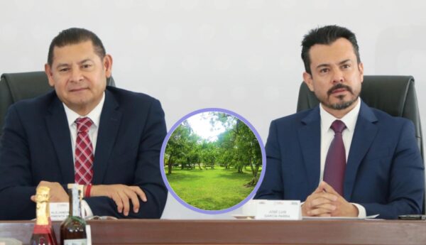 Construcción Cablebús Puebla impacto ambiental