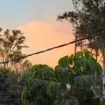 contingencia ambiental hoy doble no circula 16 febrero