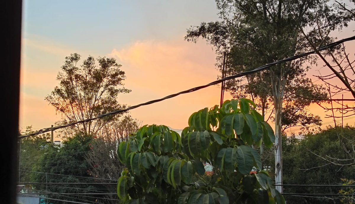 contingencia ambiental hoy doble no circula 16 febrero