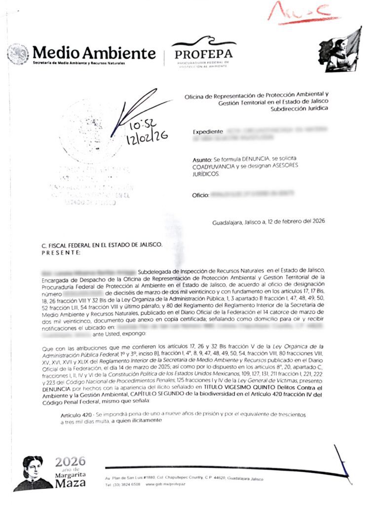 Regidora Ocotlán mono araña