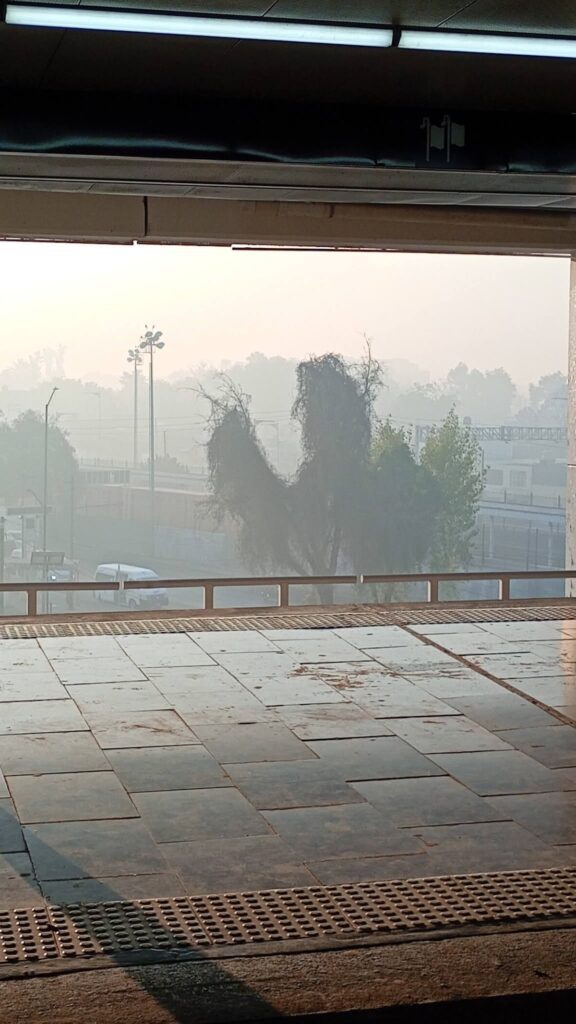 Incendio hoy bordo de Xochiaca neza