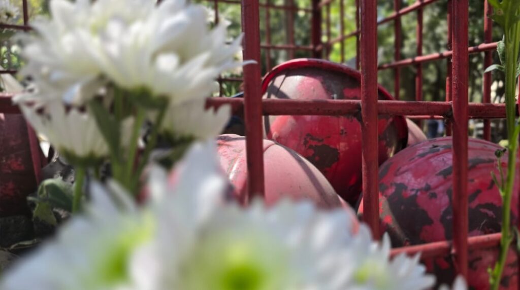 memorial pasta de conchos