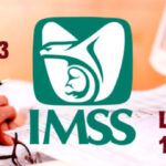 Pensión del IMSS