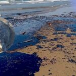 derrame de petróleo en Veracruz