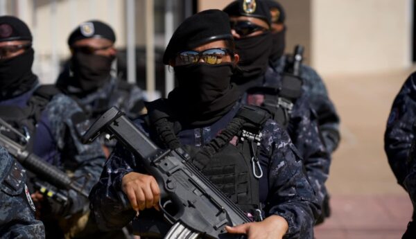 Grupo Pakal Chiapas CJNG narconómina