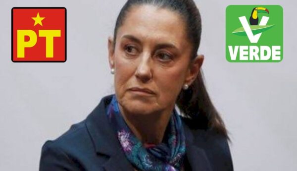Claudia Sheinbaum sin certeza si el PT y PVEM apoyarán Plan B ¿cuáles han sido las reacciones de los aliados?