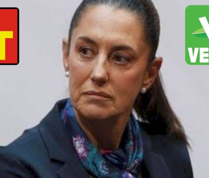 Claudia Sheinbaum sin certeza si el PT y PVEM apoyarán Plan B ¿cuáles han sido las reacciones de los aliados?