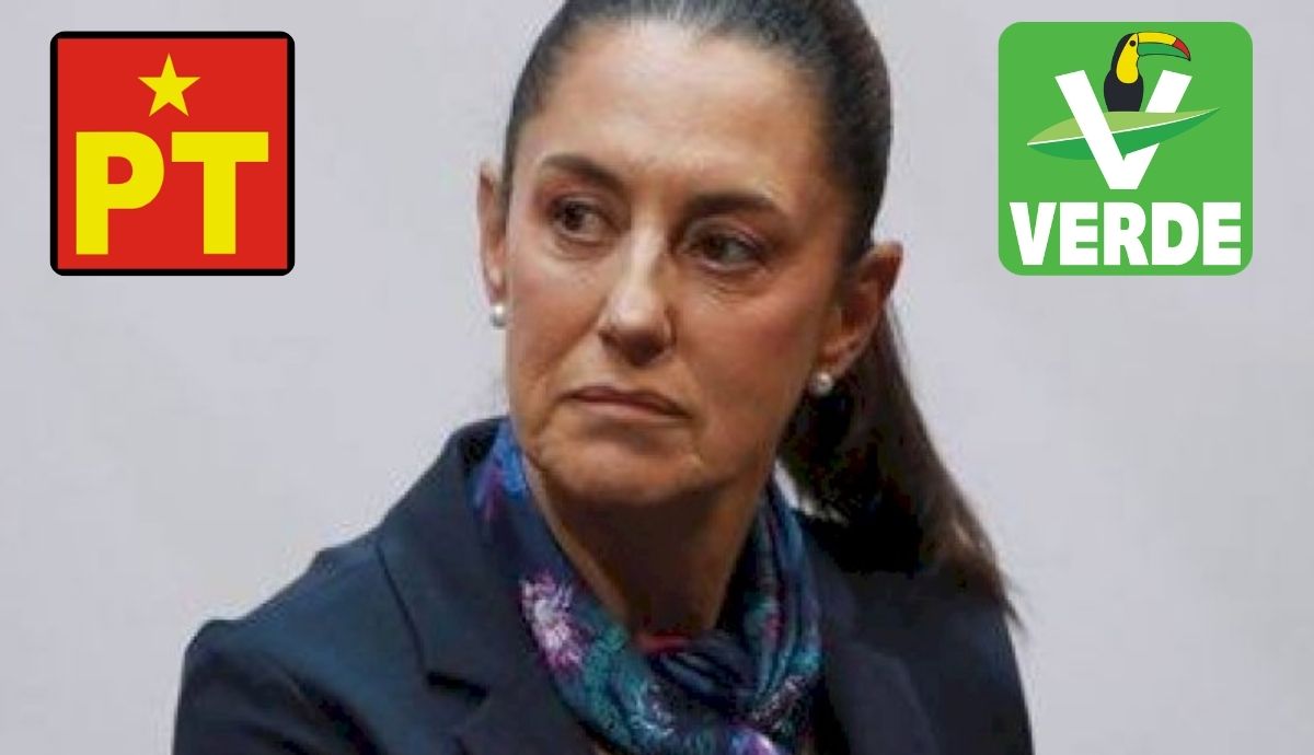 Claudia Sheinbaum sin certeza si el PT y PVEM apoyarán Plan B ¿cuáles han sido las reacciones de los aliados?