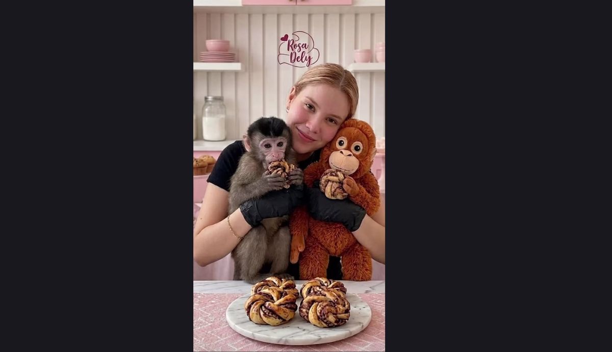 Secuestran a Carmina Castro en Culiacán, Sinaloa ¿quién es la repostera?