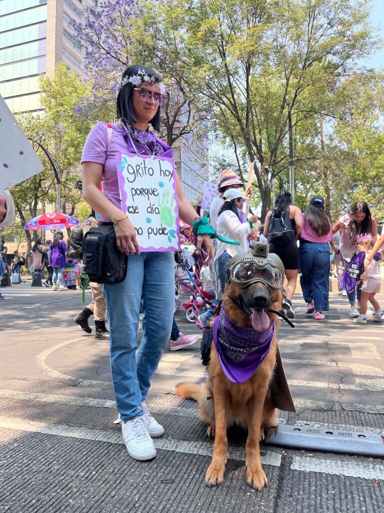 carteles marcha 8m cdmx