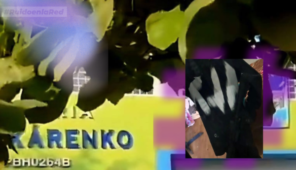 violencia incel Michoacán maestras