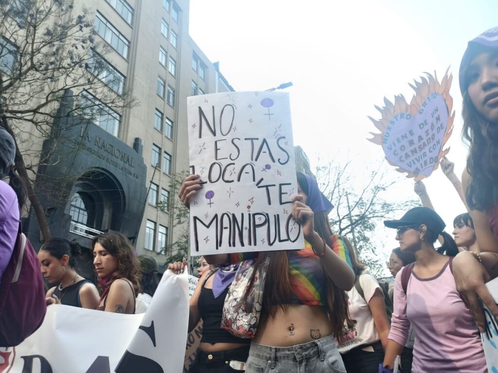 pancartas carteles marcha 8m cdmx