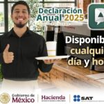 Declaración anual