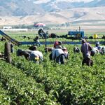 Población ocupada en México crece en 422 mil personas en un año, reporta la ENOE