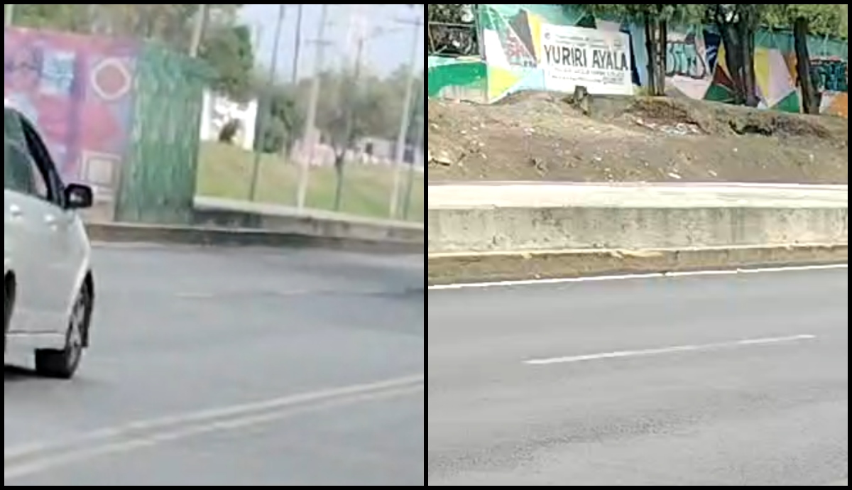 Animales decapitados GAM