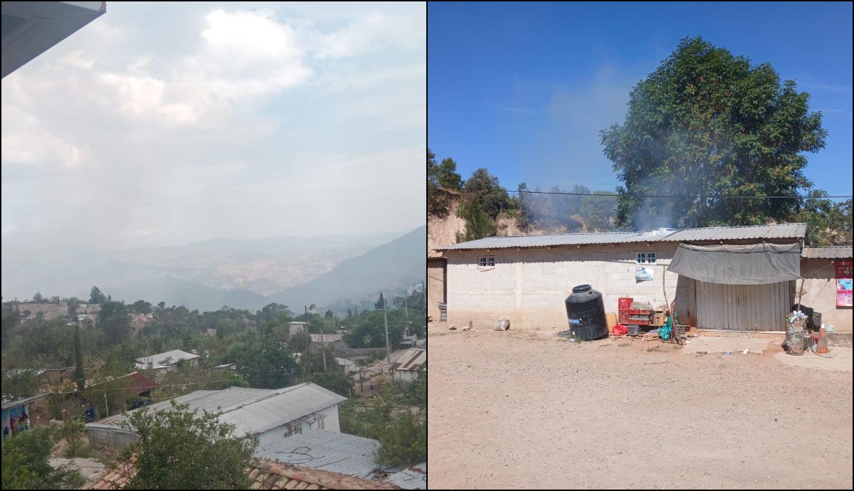 Cipog-Ez ataques Los Ardillos alcozacán