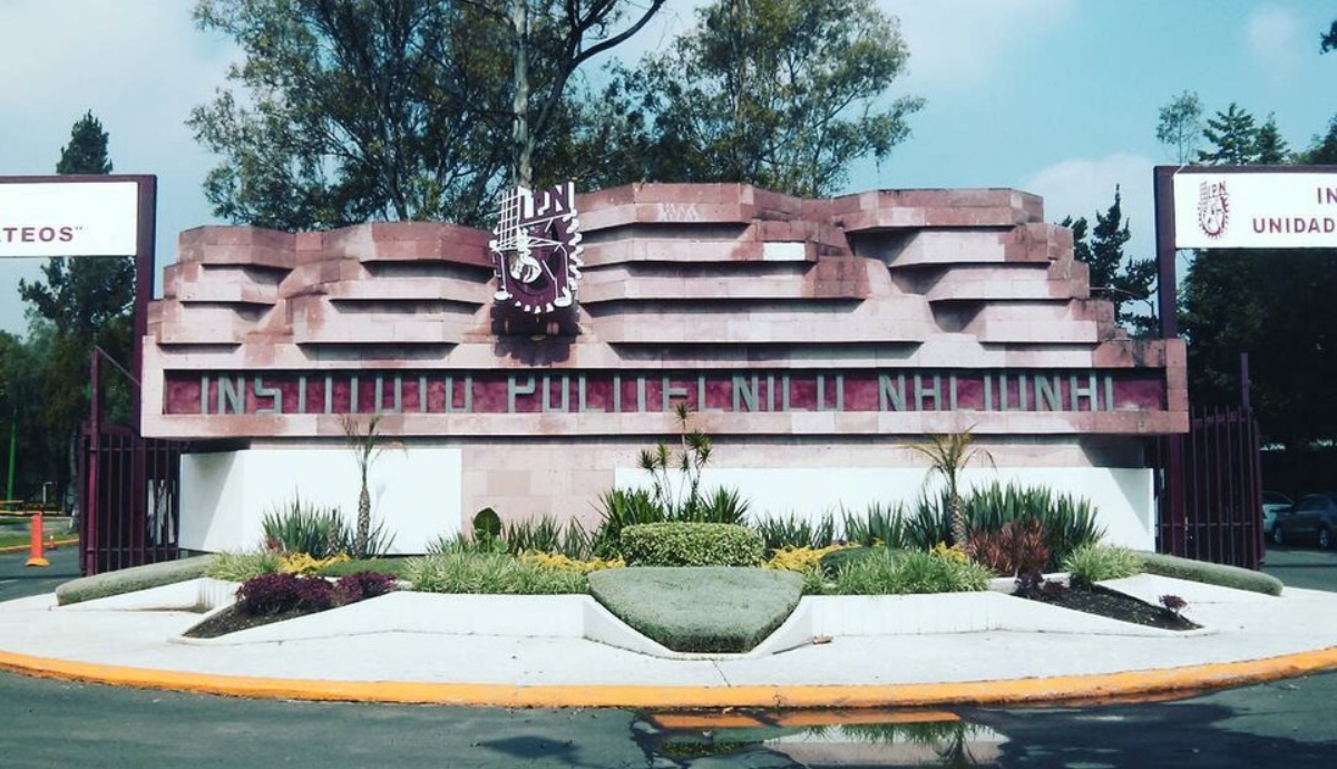 IPN nuevo director consulta SEP elección Politécnico