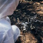 CIDH advierte crisis por saturación y desconfianza en servicios forenses del país