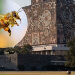 UNAM desarrolla tecnología para hacer levitar insectos