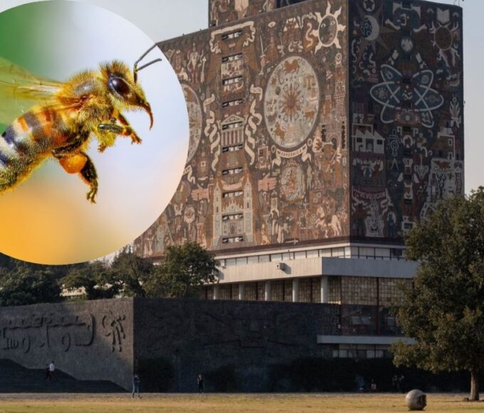 UNAM desarrolla tecnología para hacer levitar insectos