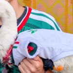 Proponen que animales que generan ganancias reciban beneficios para su bienestar