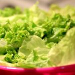 lechuga diarrea explosiva méxico arancel