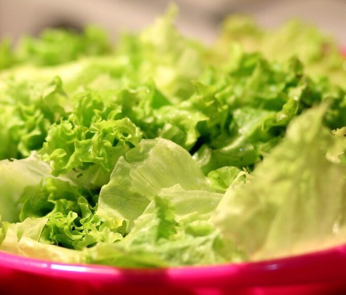 lechuga diarrea explosiva méxico arancel