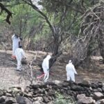 transparencia sobre fosas clandestinas