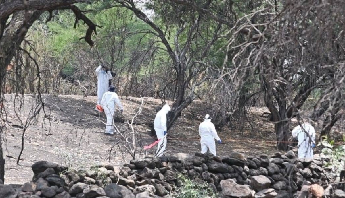 transparencia sobre fosas clandestinas