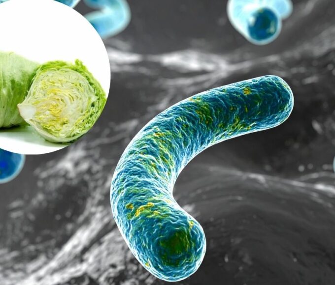 México registra 33 casos de ciclosporiasis; Salud mantiene vigilancia epidemiológica