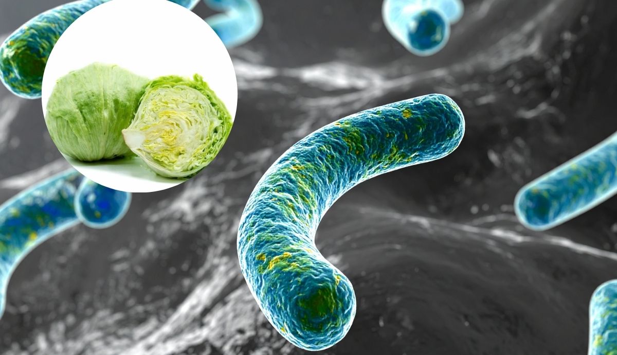 México registra 33 casos de ciclosporiasis; Salud mantiene vigilancia epidemiológica