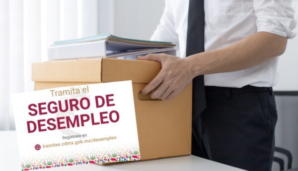 Seguro de Desempleo CDMX 2026