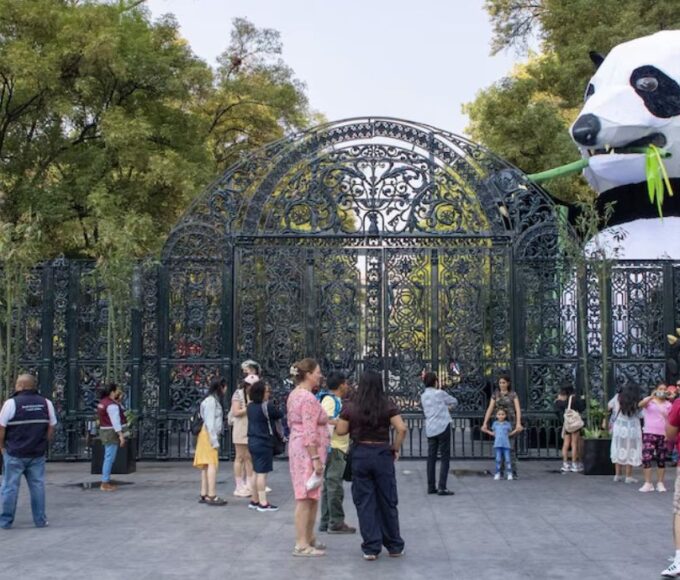 PETA Latino denuncia malas condiciones y deterioro en animales del Zoológico de Chapultepec