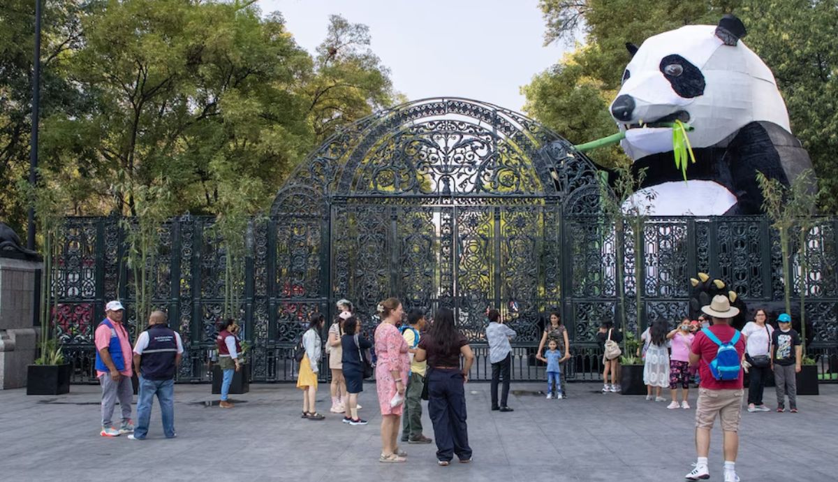 PETA Latino denuncia malas condiciones y deterioro en animales del Zoológico de Chapultepec