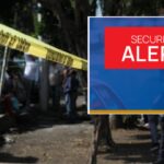EU suspende actividades en Michoacán y perjudica importación de aguacate