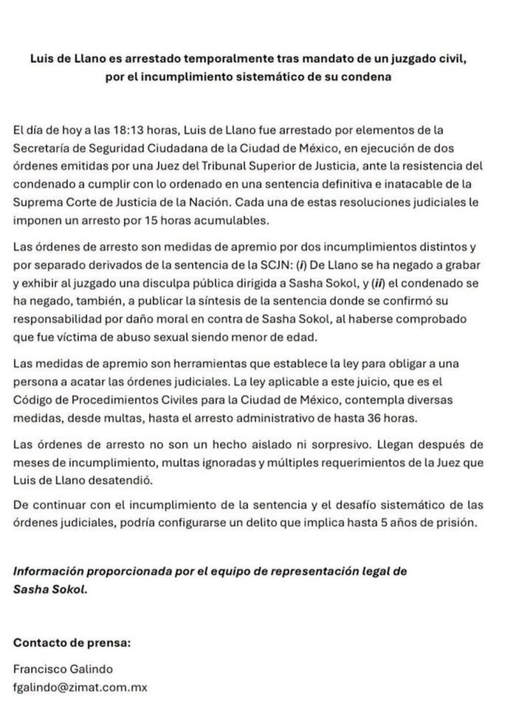 luis de llano detenido sasha sokol