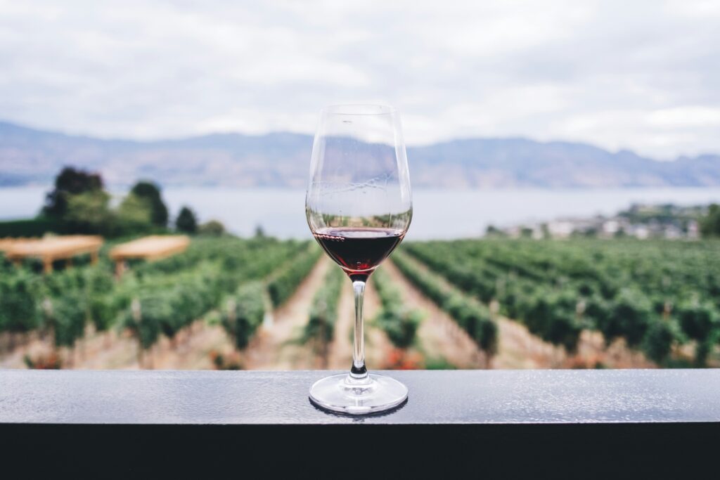 Día del Vino Mexicano. 